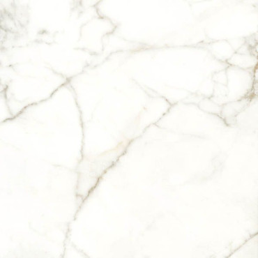 Керамогранит RHAPSODY EMOTION NAT/RETT(120357) 60x60 от Naxos Ceramica (Италия) в Москве