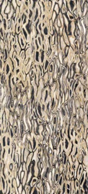 Декор THE ROOM GHEPARD6 260LP (167085) 120x260 от Imola Ceramica (Италия) в Москве