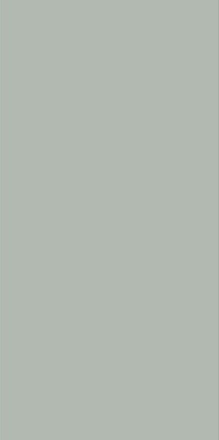 Керамогранит MONOCOLORS Reed Green Matt Fullbody 60x120 от Staro (Индия) в Москве