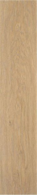 Керамогранит Articwood Camel Rect 22.7x119.5 от STN Ceramica (Stylnul) (Испания) в Москве