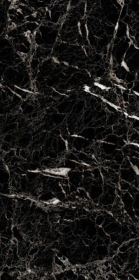 Керамогранит Marble Luminia Black 60x120 от Artcer (Индия) в Москве