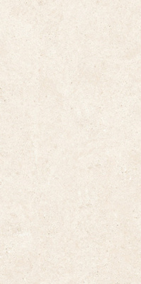 Керамогранит SILK Universe Matt 60x120 от Staro (Индия) в Москве