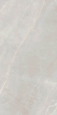 Керамогранит Marble Royalish Grey 60x120 от Artcer (Индия) в Москве