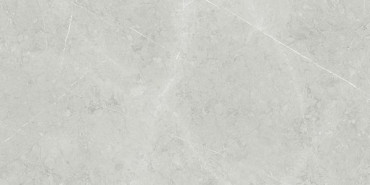 Керамогранит ALTAMURA SILVER PUL 30 30x60 от TAU Ceramica (Испания) в Москве