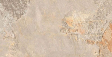 Керамогранит ARDESIA OCRE 32x62.5 от Gayafores (Испания) в Москве