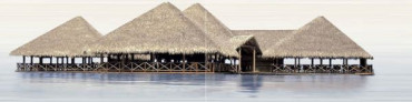 Панно Del Mare (PWU09DLM1) (из 2 плиток) 24.9x100x7.5 от Alma Ceramica (Россия) в Москве