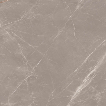 Керамогранит PRESTIGE DOVE 120x120 от Maimoon Ceramica (Индия) в Москве