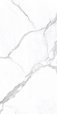 Керамогранит VIENMATCH ALTO STATUARIO R SOFT MATT 160x320x0.6 от Ascale (Испания) в Москве