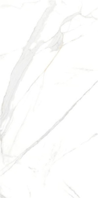 Керамограни ROYAL MARBLE WHITE PLSH RC.POR.TL (P15006.6) 60x120 от Yurtbay (Турция) в Москве