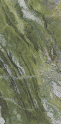 Керамогранит Marmi Classici BRILLIANT GREEN Luc 60x120 от Ariostea (Италия) в Москве