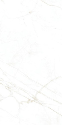 Керамогранит DUAL WHITE NT R 60x120 от Museum (Испания) в Москве