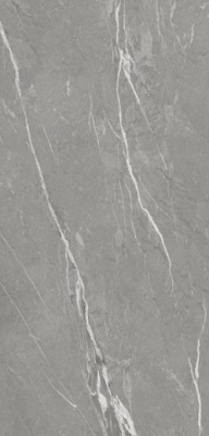 Керамогранит CASANIA GRAY NAT. (6mm) (матовая) 120x260 от TAU Ceramica (Испания) в Москве