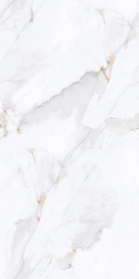Керамогранит Astana White Endless Carving 60x120 от Maimoon Ceramica (Индия) в Москве