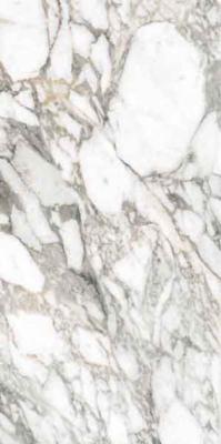 Керамогранит SUPREME MEMORIES BIANCO VAGLI NAT RETT. 60x120 от Flaviker (Италия) в Москве
