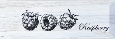 Декор Decor Fruit Laguna Raspberry 10x30 от Monopole (Испания) в Москве