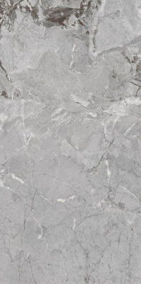 Керамогранит Wixon Grey 60x120 от Ocean Ceramic (Индия) в Москве