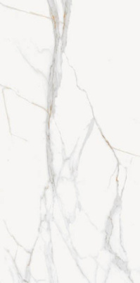 Керамогранит CARVING Soul White 60x120 от Staro (Индия) в Москве