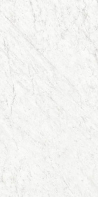 Керамогранит Marmi Classici BIANCO CARRARA Silk 60x120 от Ariostea (Италия) в Москве