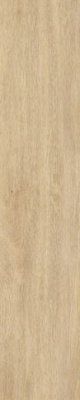 Керамогранит Tacora Beige Matt Rect 22.7x119.5 от STN Ceramica (Stylnul) (Испания) в Москве