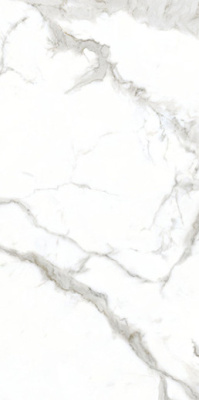 Керамогранит ALASKA WHITE 60x120 от Flais Granito (Индия) в Москве