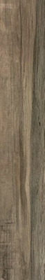 Керамогранит DRIFT Wood Crema Matt 20x120 от ITC (Индия) в Москве