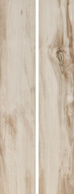 ерамогранит GOA NATURAL MATE Ret. 23x120 от Alaplana (Испания) в Москве