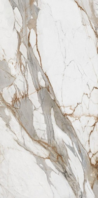 Керамогранит BOOKMATCH MACCIA VECCHIA GOLD B POLISHED 160x320x0.6 от Ascale (Испания) в Москве