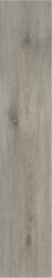 Керамогранит Articwood Argent Rect 22.7x119.5 от STN Ceramica (Stylnul) (Испания) в Москве
