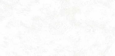Керамогранит Pav. RIGA WHITE 30x60 от Emigres (Испания) в Москве