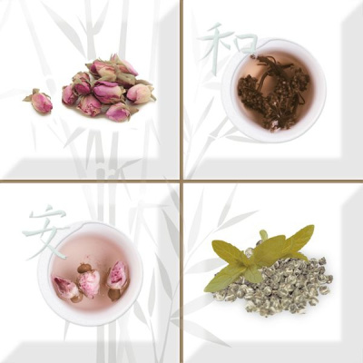 Декор (composicion) Set Aroma Fosker S/4 A 10x10 от Absolut Keramika (Испания) в Москве