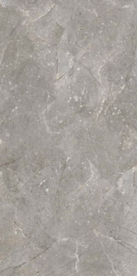Керамогранит Dedalo Ceniza R 59.3x119.3 от Vives Ceramica (Испания) в Москве