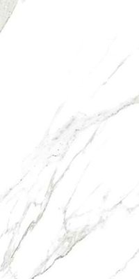 Керамогранит CP MARMOKER STATUARIO GRIGIO honed 120 60x120 от Casalgrande Padana (Италия) в Москве