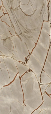 Керамогранит Nature Mood Rainforest Glossy 6mm (774902) 60x120 от Casa Dolce Casa (Италия) в Москве