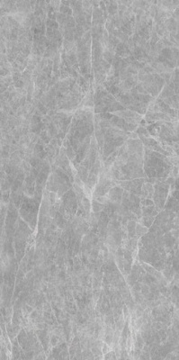 Керамогранит Iron Grey Polished (6 мм) (MN227AP261206) 120x260 от Nanogress (Китай) в Москве