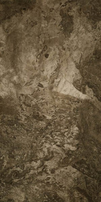 Керамогранит FOSSIL Brown Rectified Full Lappato 60x120 от Seranit (Турция) в Москве