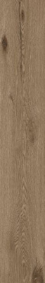Керамогранит DILUCA UMBER 180 22.5x180x12 от TAU Ceramica (Испания) в Москве