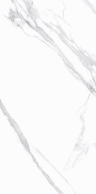 Керамогранит SILK Statuario Calipso Matt 60x120 от Staro (Индия) в Москве