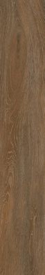 Керамогранит Forest Ocher непол. 19.4x120 от Creto (Россия) в Москве