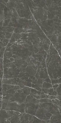 Керамогранит Fox Graphite Natural 120x240 от Baldocer (Испания) в Москве