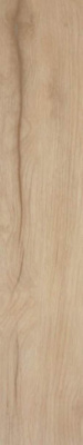 Керамогранит Vertige Beige MT Rect 23x120 от STN Ceramica (Stylnul) (Испания) в Москве