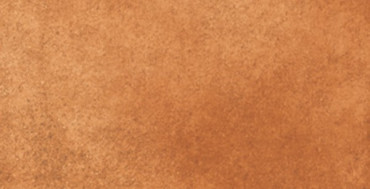 Подступенник Loseta Gobi 31x15x1.4 от Gresmanc (Испания) в Москве