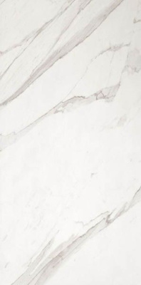 Настенная плитка ROMA 50 STATUARIO (fPP8) 50x120 от FAP Ceramiche (Италия) в Москве
