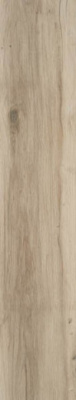 Керамогранит Blaze Natural Matt Rect 22.7x119.5 от STN Ceramica (Stylnul) (Испания) в Москве