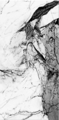 Керамогранит BRIGHT AND SHINY SERIES Marble Grey (NTT9111P) 60x120 от NT Ceramic (Китай) в Москве