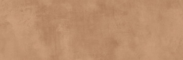 Настенная плитка ELEGANZA SIENA (матовая) Rect. 33.3x100 от Pamesa (Испания) в Москве