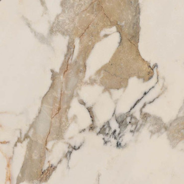 Керамогранит EPOQUE IVORY RET (PF60004306) 60x60 от Ariana (Италия) в Москве
