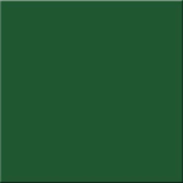 Настенная плитка Monocolor Botella brillo 20x20 от Decoramia (Испания) в Москве