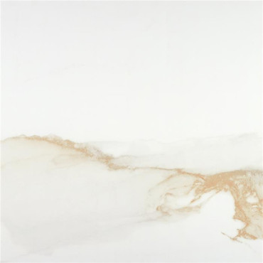 Керамогранит P.E. Camile gold sat. rect. 60x60 от STN Ceramica (Stylnul) (Испания) в Москве