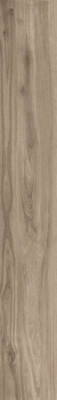 Керамогранит ORIGIN TAN 22.5x180 от TAU Ceramica (Испания) в Москве