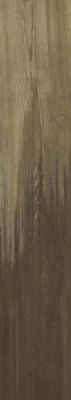 Керамогранит Rainwood Sunset 15x90 от STN Ceramica (Stylnul) (Испания) в Москве